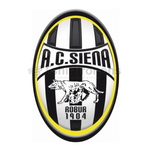 AC Siena T-shirts Iron On Transfers N3355 - Click Image to Close